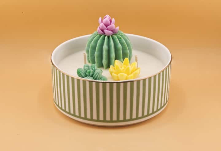 Bougie Pimento Cactus – Image 4
