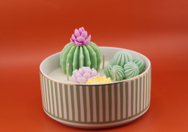 Bougie Pimento Cactus – Image 2