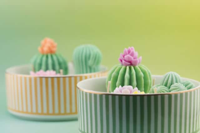 Bougie Pimento Cactus