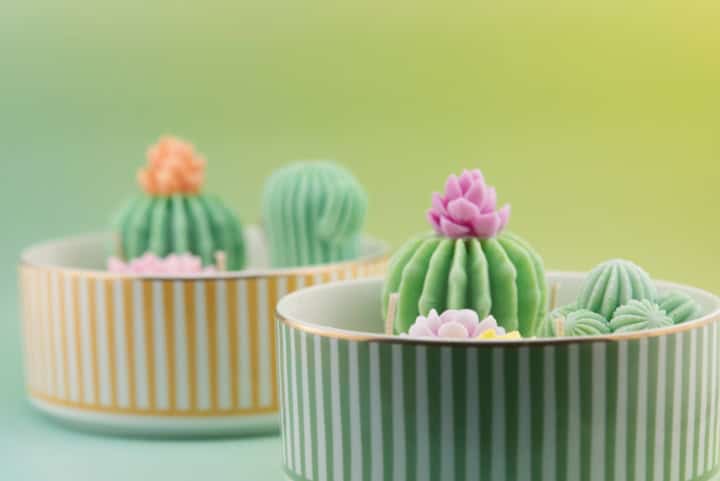 Bougie Pimento Cactus