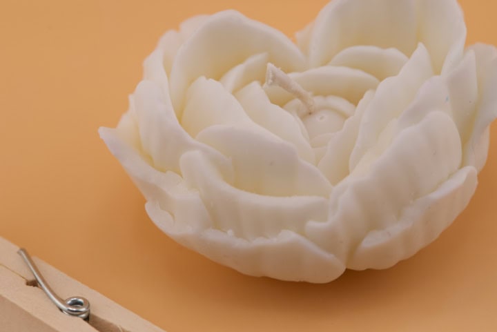 Jardin d'amour blanche (à sauver)