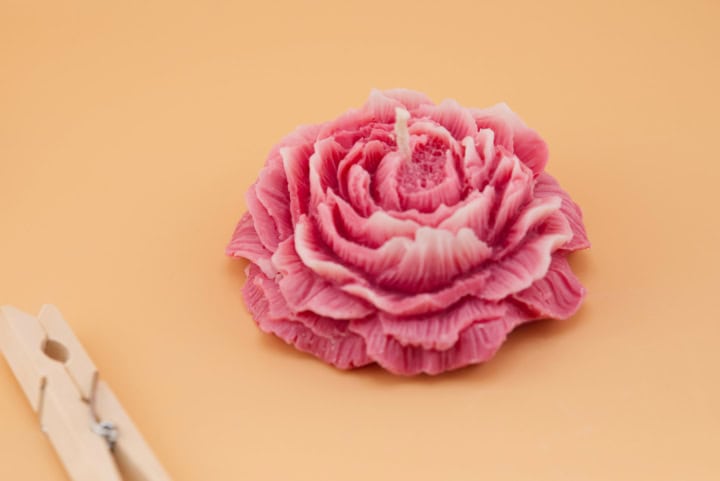 Jardin secret rose à sauver