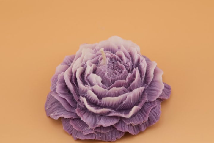 Jardin secret violette à sauver