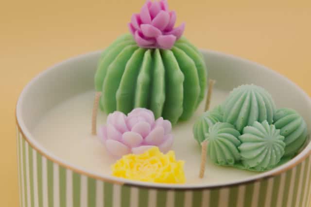 Bougie Pimento Cactus