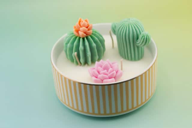 Bougie Pimento Cactus