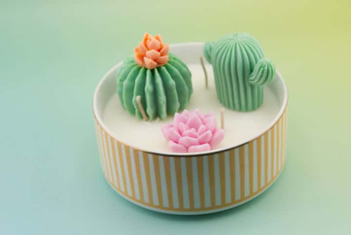 Bougie Pimento Cactus – Image 3