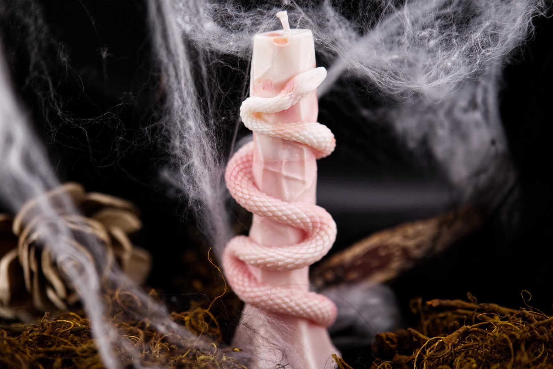 Cierge Serpent – Image 4